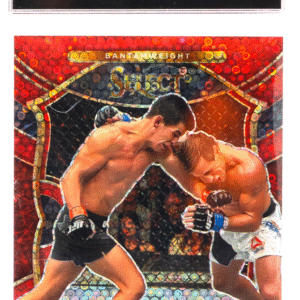 2021 Panini Select UFC - Dominick Cruz 42 - Red Disco /199 - CSG CGC 9